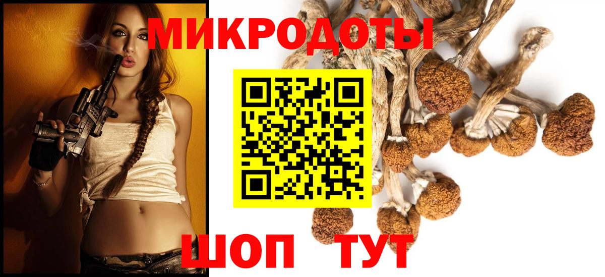 Псилоцибиновые грибы Psilocybine cubensis Ивантеевка